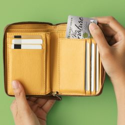 credit card travel benefits